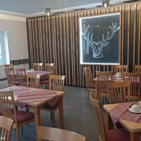 & Restaurant Zum Hirsch 3* Romhild